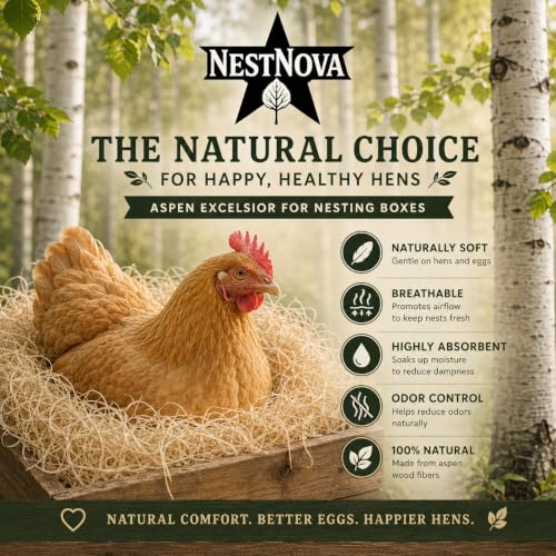 NestNova™ Aspen Excelsior, 2 lb Box of USA-Grown Aspen Fiber. Eco-Friendly Material for Chicken coops, Small pet Bedding, Crafts, and Gift Baskets. Biodegradable and Hand Packed. 2 Boxes (4 lbs)