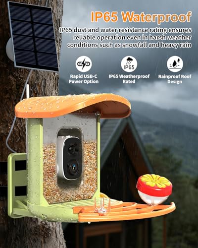 Bird Feeder with Camera, 2K HD Camera Birds Feeder with AI Bird Recognition, Solar Powered Smart Birdfeeder with App Control, Color Night Vision, Gift Box Package, Easy Install & Family Sharing - color: Green, size: Stand