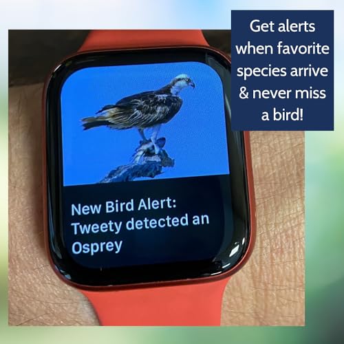 Bird Song & Call Identifier: 24/7 backyard sound identification | Better than a camera, uses sound to ID resident & migrating hummingbirds, warblers, hawks, owls, orioles, woodpeckers & more!