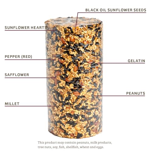 Birds Choice Trailblazin' Spicy Bird Seed | Squirrel Proof Wild Bird Food with Red Pepper | High-Energy Black Oil Sunflower Seeds, Peanuts & Safflower | High Protein & Fat Feeders | 2.5 lbs (2-Pack) | Squirrel Resistant Red Pepper Blend of Black Oil Sunfl