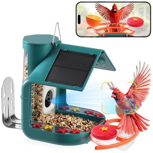 Smart Bird Feeder with Camera, Dual Solar Panel & 2K HD Live Streaming, AI Bird ID + Instant Alert, IP65 Weatherproof for Outdoor Garden Patio, Gift for Bird Lovers
