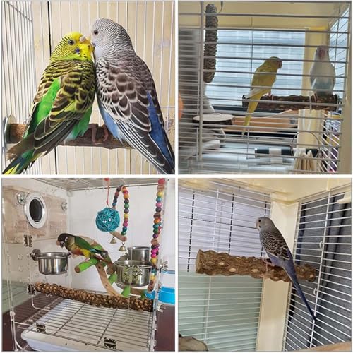 4 PCS Natural Parrot Perch Wooden Parrot Perch Stand Bird Stand Parakeet Climbing Standing Branches Toy for Small Lovebirds Budgies Cockatiels