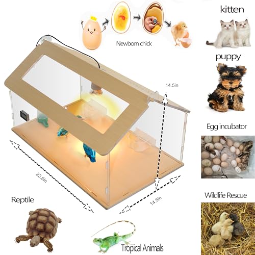 Newborns Chick Brooder Box Quail Cage Bird Playground Chick Starter Kit | 25~40 Small chicken coop Baby chicken supplies Baby chicken cage Brooder box for chicks