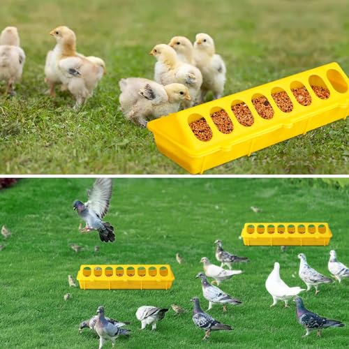 Flip Top Chick Feeder Trough, Plastic Bird Small Poultry Feeder | No Mess, No Waste Chicken Feeder for Small Chicks, Pigeons, Quails, Birds, Ducklings, Ideal for Using in a Brooder (Yellow) - color: Yellow