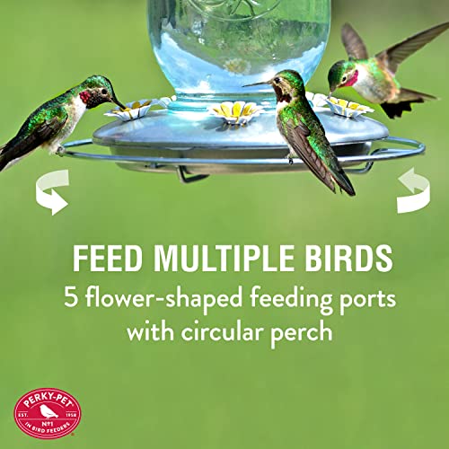 Perky-Pet Mason Jar Hummingbird Feeder, 32 oz Nectar Capacity | Vintage Style Glass Bird Feeder, 5 Flower Feeding Ports, Outdoor Garden Backyard Wildlife - color: Blue Mason Jar