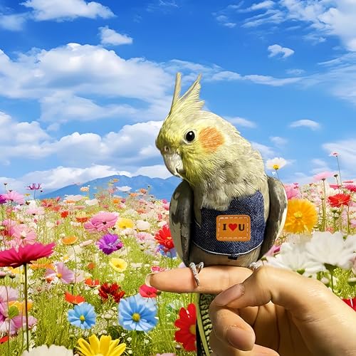 Bird Flight Harness Vest, Parrot Flight Suit with Leash Adjustable Bird Flying Clothes Outdoor Training Traction Rope for Parakeets Cockatiels Conures Budgies Cockatiel-Blue,L - color: Blue