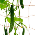 2 Pcs Plant Support Netting, Natural Jute Net, Garden Trellis Netting for Climbing Vining Plants(6.6 Ft x 9.8 Ft, 5.9 Inch Squares)