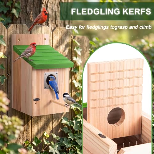 CHILDLION 2 Pack Bird Houses for Outside Clearance with Metal Guard, Fir Wooden Bird Houses, Hanging Bird Nesting Box for Backyard Garden Wild Birds