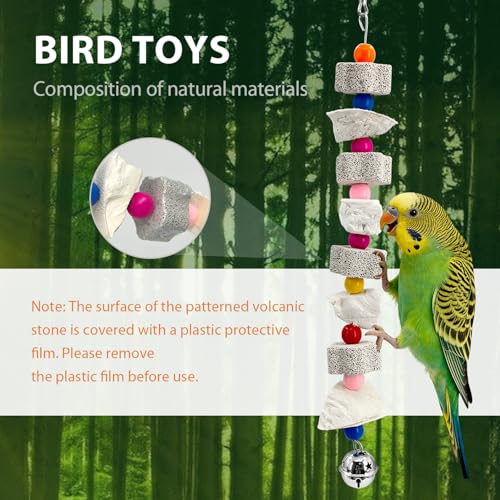 Parakeet Toys 2 Pack with Cuttlebone and Bell | Natural beak grinding stone, calcium supplement for bone health, for budgies, cockatiels, lovebirds, small to medium birds.