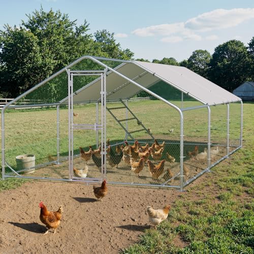 Large Metal Chicken Coop, Outdoor Chicken Run with Cover, 10 x 20 x 6.5 FT | Heavy-Duty Poultry Enclosure & Chicken Pen with Split Doors, Galvanized Steel Frame, Free Wire Mesh Fence and Roosting Ladder - size: 118.1"L x 78.7"W x 235.2"H