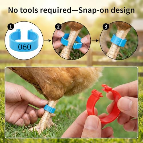 80 Pcs 16mm Chicken Leg Bands 8 Colors Chicken Bands 01-80 Numbered Chick Identification Tags Poultry Foot Tags for Duck Bantam Guinea Goose Gamefowl Rooster