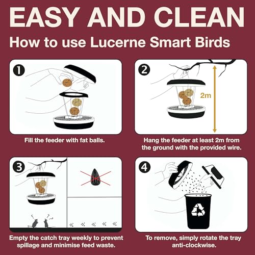 SWISSINNO Bird Feeders - No Mess Fat Ball/Suet Feeder for Outdoors Hanging - Smart Birds Lucerne Spill Proof Wild Cardinal Bird Feeder with Integrated Seed Catcher Tray - Burgundy - color: Burgundy, style: Lucerne