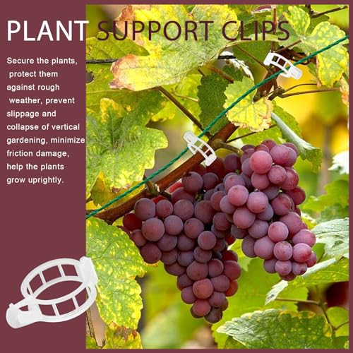 FANDAMEI 300 PCS Plant Support Clips, Plastic Garden Plant Ties, Tomato Clips Trellis for Tomato Cucumber Flower Squash Vine, 1” Inner Diameter for Climbing Plants