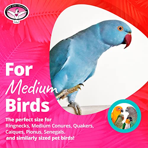 Super Bird Creations SB963 Twirl N' Whirl Bird Toy - Handcrafted Wooden Bird Stuff with Lollipop Sticks & Spinning Block - Relieves Boredom Peeling & Chewing for Parrots, Medium Sized Birds - 6.5"x4"