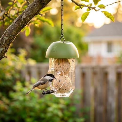LONA Suet Ball Bird Feeder Outdoor Hanging Fat Ball Feeders with Versatile Mount Durable Weatherproof Washable Transparent Tube Wire Steel Metal Feeder for Wild Birds - style: Style4-Small Tube
