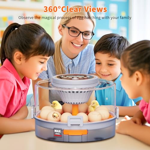 12 Egg Incubators for Hatching Eggs for Home, Classroom and Lab | Incubator for Chicken Eggs,Duck,Goose,Quail,Snake,Egg Incubator with Automatic Egg Turning and Humidity Control - color: gray+Orange