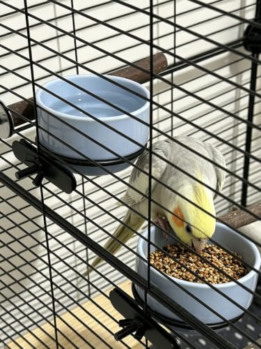 2 Pcs Bird Food Bowl Ceramic Bowls for Birds Small Parakeet Food Bowl Parrot Feeding Cups, Bird Cage Feeder for Parakeets Conure Cockatiels Lovebird Budgie (Blue)