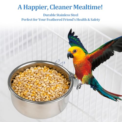 2 Pack Stainless Steel Bird Food Bowl Small Bird Feeding Dish Cups for Cage Parrot Food Bowl Cage with Clamp Holder for Parrots, Cockatiels, Small Animals (M+L) - size: M+L