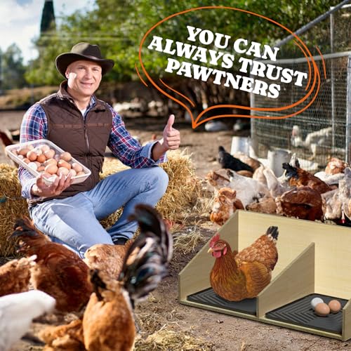 Pawtners Chicken Nesting Pads for Coop Bedding, Washable Nesting Box Liners for Chicken Laying Boxes, 12"x 12", 6 Pack - color: Grey - 6Pack