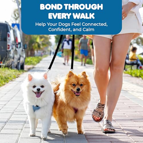 SunGrow 16-24" Adjustable Double Dog Walker Leash, Lightweight Dual Lead with 360° Swivel Zinc-Alloy Clips, Durable Polypropylene Strap, Fits Small to Medium Breeds, Ideal for Daily Walks & Training - size: 16 - 24 in