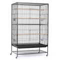 Prevue Hendryx Pet Products Wrought Iron Flight Cage - Big Rolling Bird Cage for Parakeets, Cockatiels, Conures, Lovebirds, Canaries, Finches, Parrotlets, & Caiques, 5 Ft - X-Large, Hammertone Black - color: Black, size: 37.0"L x 23.0"W x 60.0"H