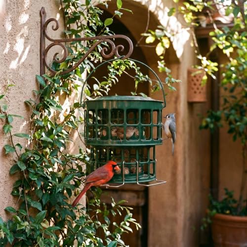 KOL All-Metal Suet Bird Feeder, Heavy-Duty Double-Layer Suet Ball Feeder for Wild Birds, 360° Feeding with Drainage Tray, Ideal for Suet Balls and Seed Cakes (Jasper) - color: Jasper