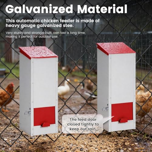 8Lbs Metal Chicken Feeder with Lockable Feed Door | Quail Feeders No Waste, Wall Mounted Poultry Feeder, Gravity Fed, Galvanized Steel Material, for Chicken Coop
