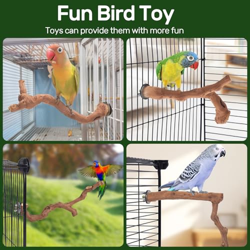 3-Piece Premium Bird Perch Stand with Natural Grape Wood Branch, Paw Grinding Fork, Chewing Stick, Cage Accessories for Parakeets, Budgies, Cockatiels, Finches, Lovebirds - size: 3Piece