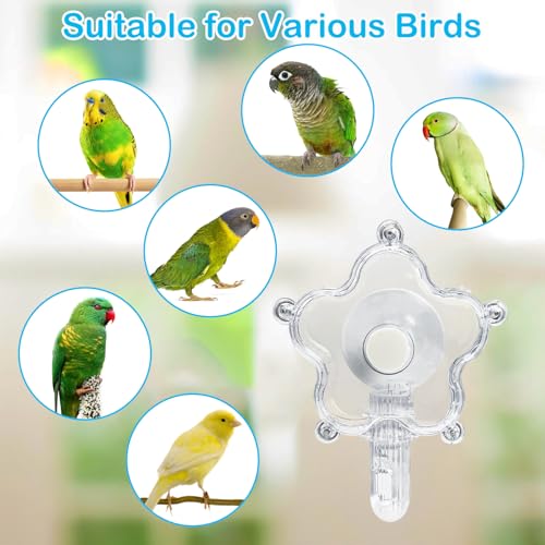 BNOSDM Bird Foraging Toys Cockatiel Foraging Wheel Parrot Cage Spinning Toys Parakeet Enrichment Puzzle Feeder Toy for Budgies Lovebirds Canaries (Transparent) - color: Transparent