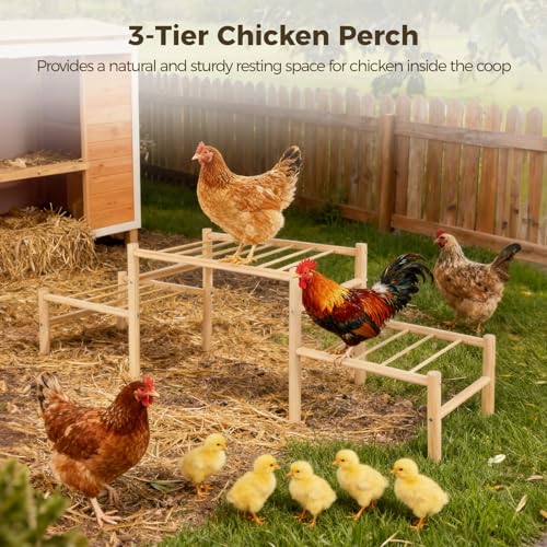 3-Tier Chicken Perch, Wooden Roosting Ladder Stand, 33.1 in Chicken Coop Accessories, Safe & Long-Lasting Hen House Decor, Chicken Tree Jungle Gym for Chickens Hens