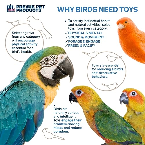 Prevue Pet Products Takeout Playfuls Forage & Engage Bird Toy | Cage Accessories for Parrots, Conures, Cockatiels, Budgies, and Small to Medium Birds, Encourages Chewing and Shredding
