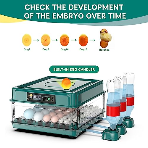 Intelligent Poultry Incubator - 38 Eggs, Automatic Turner & Temperature Control for Hatching Chicken, Quail, Bird & Duck Eggs - style: 38 EGGS