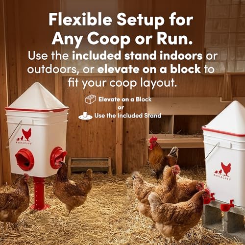 RentACoop Chicken 25lb No-Waste Feeder & 5 Gallon Automatic Waterer Set