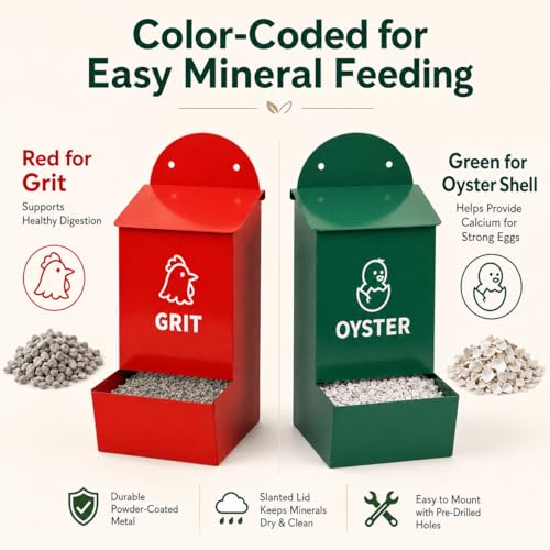 Chicken Grit and Oyster Shell Feeder 2 Pack, Oyster Shell for Chickens and Grit for Chickens Holder, No Waste Chicken Feeder with Rainproof Lids, Drain Holes, Wall Mounted Metal