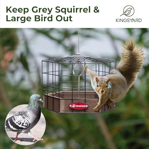 Kingsyard Squirrel Proof Platform Bird Feeder, Metal Mesh Tray | Recycled Poly Lumber Body, Great for Small Wildbirds Finches Bluebird Mealworm, Brown - color: Brown