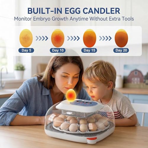 Sailnovo 24 Egg Incubators for Hatching Eggs, 360° View with 4 Modes, Blue | Automatic Temperature Control, Egg Turning, Humidity Display, Egg Candler, 360° View, 4 Smart Modes for Chicken Duck Quail