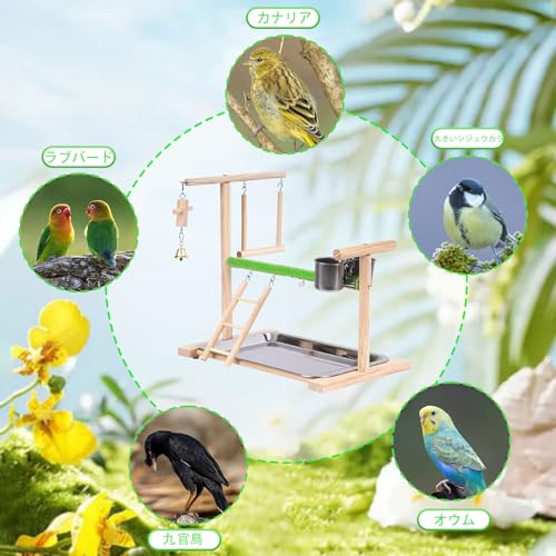 Bird Playground, Natural Wood Bird Perch Stand with Removable Tray and 2 Stainless Steel Feeder Cups, Parrot Playstand Bird Cage Toys for Conure Parakeet Cockatiel Parrot (C) - color: C