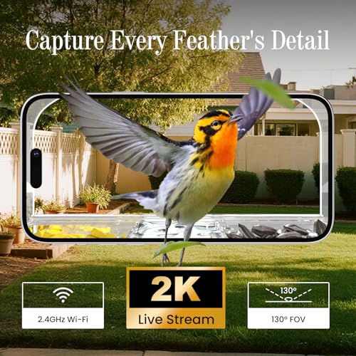 Window Bird Feeder with Strong Suction Cups and Smart Bird Camera | 2K Clear Vision, AI Bird Recognition Tech, Real-Time Alerts, Easy to Use, Detachable Tray, 2.4G Connectivity USB Powered - color: White