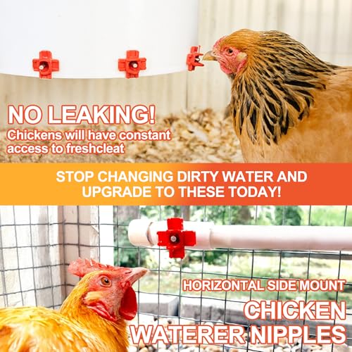 Automatic Chicken Waterer Nipples with Drill Bit (20 Pack Red) | Leak-proof Horizontal Poultry Watering System, Side Mount For Chickens - size: 20 Pack