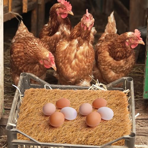 Zhengmy 12 Pcs Chickens Nesting Pads Set Nest Box Bedding Washable Nesting Pads for Chicken Coop, Artificial Grass Rug Carpet Synthetic Turf Mat, 12 x 12 x 1.2 Inches(Brown) - color: Brown