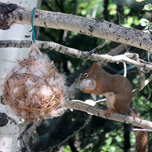 Alpaca Fleece Nesting Material in 6 in Grapevine Cube for Birds