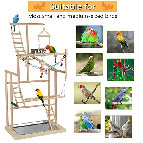 4 Layers Wood Pet Parrot Playstand | Bird Playground, Perch Gym Playpen, Ladder with Feeder Cups Bells, For Cockatiel Parakeet