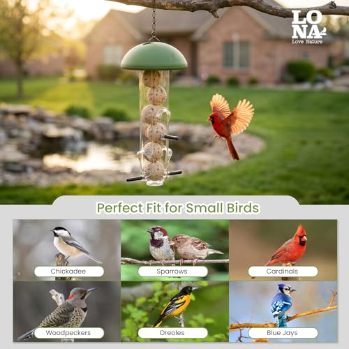 LONA Suet Ball Bird Feeder Outdoor Hanging Fat Ball Feeders with Versatile Mount Durable Weatherproof Washable Transparent Tube Wire Steel Metal Feeder for Wild Birds - style: Style3-Large Tube
