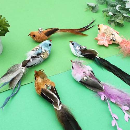 6 Pieces Cat Feather Toys Replacement Bird Cat Toy Wand Refills Cats Toy Replacement Natural Bird Feathers for Cats Toys - color: 6 Pcs Bird