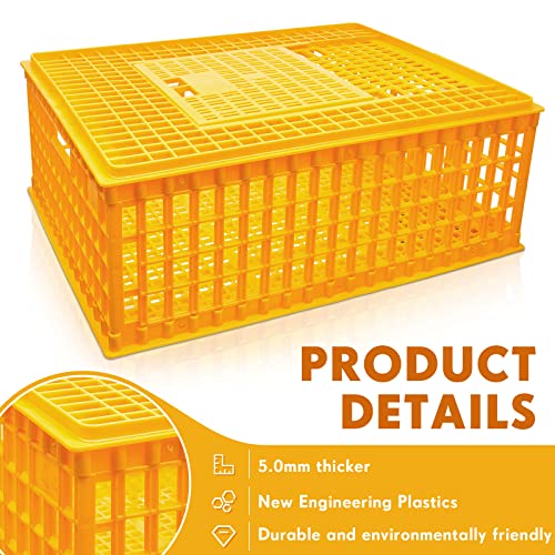 Sintuff Poultry Carrier Crate Plastic Chicken Transport Cage Bird Carriers Chickens Carrier Travel Crate Basket Box for Poultry Chicken Bird Duck Goose, 29.5 x 21.7 x 11.6 Inch (2 Pcs)