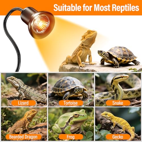 TFNN Reptile Heat Lamp, Heat Lamp with Clamp, UVA UVB Reptile Light with Intelligent Cycle Timer for Turtle, Bearded Dragon, Lizard and More, 2 Bulbs 50W+75W