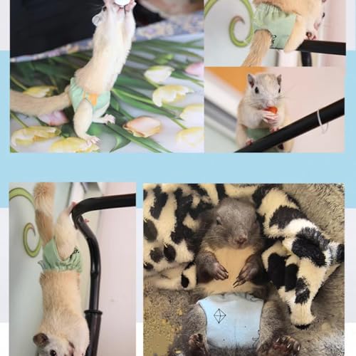 2 Pcs Squirrel Diapers- Reusable Washable Squirrel Diapers Absorbent with Strong & Flexible Pants for Squirrel,Fancy Rat,Groundhog Guinea Pig Small Sugar Glider (M)