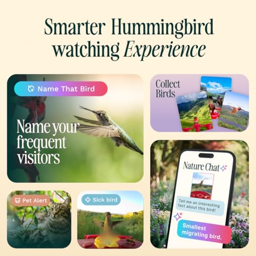 Birdbuddy Solar Hummingbird Feeder with Camera, AI Bird ID, 2K Video, Photo | 2K video quality, 5MP Photos, 1/2.7” sensor with excellent low-light performance, High Dynamic Range (HDR)
