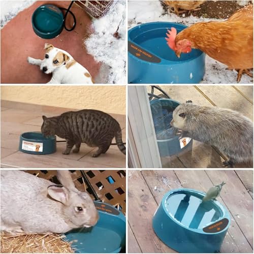 Heated Water Bowl for Dogs, Heated Dog Bowl for Cats Birds Chickens Water Heater, Outdoor Pet Heating Dish Provides Drinkable Water in Frozon Winter, 2.2L - size: 2.2L