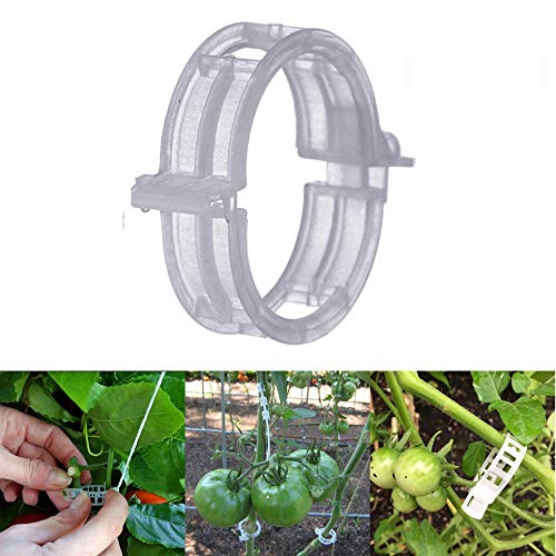 MIHEY 300 Pcs Tomato Trellis Clips for Garden Support | Wooden Noise Makers, Ratchet Noisemakers for Soccer Sporting Events, Party Favor, Graduation and Christmas Celebrations